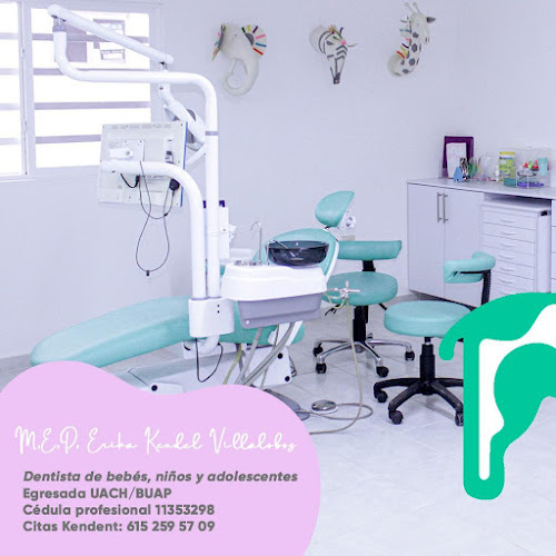 Dentista infantil en España - Una moderna consulta dental con sillas y equipos dentales de color verde menta. En la pared del fondo hay cabezas de unicornio. Una sobreimpresión rosa muestra la información de contacto de un dentista pediátrico. | Clínica dental pediátrica Dentistainfantilcercademi