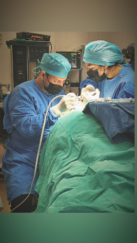 Dentista infantil en España - Dos cirujanos con batas azules y mascarillas operan en un quirófano, concentrados en el paciente, con el equipo médico visible al fondo. | Clínica dental pediátrica Dentistainfantilcercademi